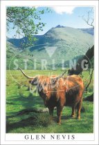 Highland Cow - Glen Nevis Postcard (V SG)