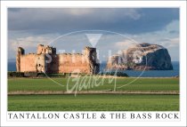 Tantallon Castle & The Bass Rock, Close up Postcard (H SG)