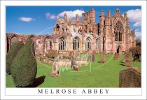 Melrose Abbey, Bushes Postcard (H SG)