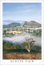 Scott's View, Mist to Eildon Hills Postcard (V SG)