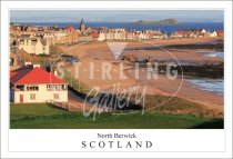 North Berwick - Scotland, Beach from Glen Golf Club Postcard (H SG)