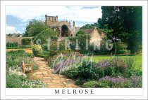 Melrose, Harmony Gardens Melrose Abbey Postcard (H SG)