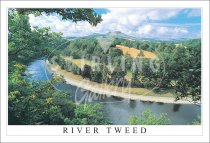 River Tweed to Scott's View Postcard (H SG)