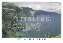 St Abb's Head Postcard (H SG)