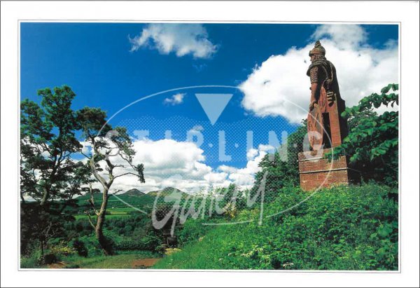 William Wallace Monument, view to Selkirk Postcard (H SG)