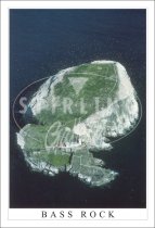 Bass Rock, Aerial View, Gannets Surrounding Isle Postcard (V SG)