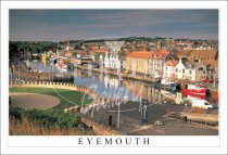 Eyemouth, The Harbour Postcard (H SG)