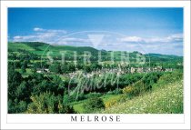 Melrose, from Hillside Postcard (H SG)