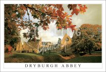 Dryburgh Abbey, Autumn Postcard (H SG)