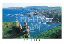 St Abbs Panorama Postcard (H SG)