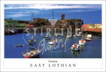 Dunbar, Castle and Harbour Postcard (H SG)