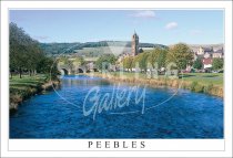 Peebles on the River Tweed Postcard (H SG)