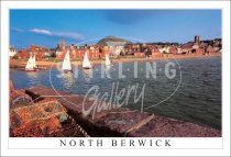 North Berwick, Sailboats by Beach & Berwick Law Postcard (H SG)