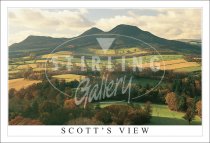 Scott's View, Eildon Hills, Autumn Postcard (H SG)