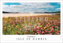 Machair Isle of Harris, Luskentyre Postcard (H SG)