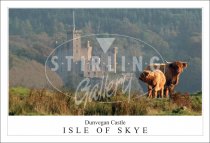 Dunvegan Castle - Isle of Skye, Hihgland Cow & Calf Postcard (H SG)