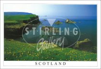 Faraid Head - Scotland, Durness Postcard (H SG)