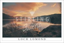 Loch Lomond, Evening Tranquillity Postcard (H SG)