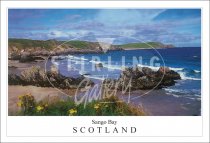 Sango Bay - Scotland, Floral Postcard (H SG)