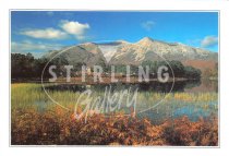 Beinn Eighe from Loch Coulin Postcard (H SG)