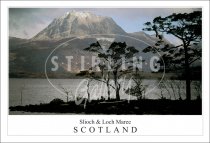 Slioch & Loch Maree - Scotland, Tree Silhouette Postcard (H SG)