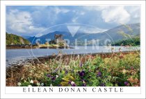 Eilean Donan Castle, Floral foreground Postcard (H SG)