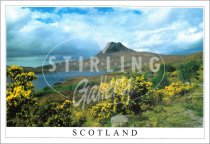 Stac Pollaidh, Scotland Postcard (H SG)