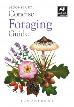 Concise Foraging Guide (Mar22)