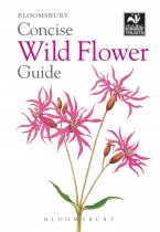 Concise Wild Flower Guide (Mar22)