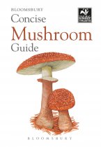 Concise Mushroom Guide (Mar22)