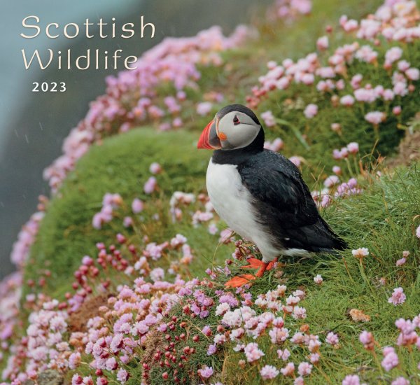 2023 CB Calendar Scottish Wildlife