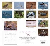 2023 CB Calendar Scottish Wildlife