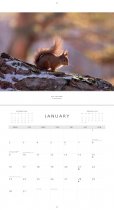 2023 CB Calendar Scottish Wildlife