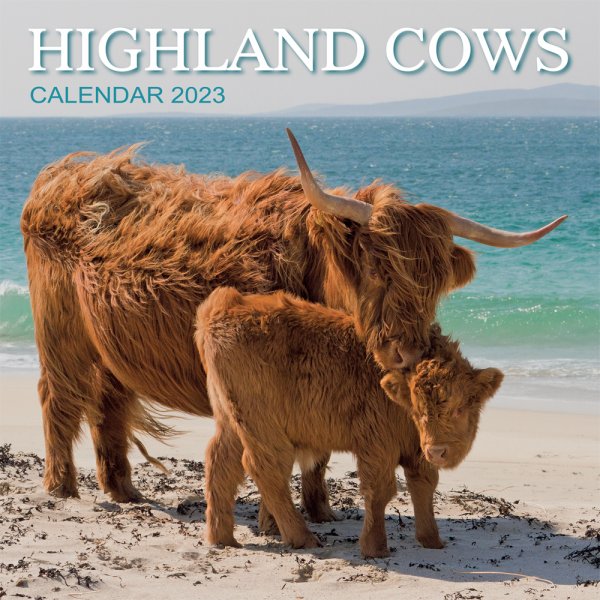 2023 Calendar Highland Cows (2for£8v)