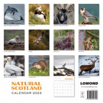 2023 Calendar Natural Scotland (2for£8v)