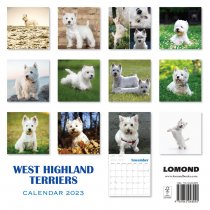 2023 Calendar West Highland Terriers (2for£8v)