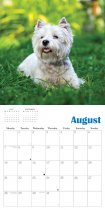 2023 Calendar West Highland Terriers (2for£8v)