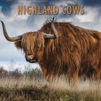 2023 Calendar Highland Cows