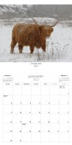 2023 Calendar Highland Cows