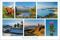 Scotland, Multi view,Cow,Nevis,Sanna Bay,Thistle,Storr,Glenmore (H std IM)