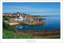 Crail, From Above, Flowers (H std IM)