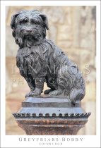 Greyfriars Bobby - Edinburgh (V std IM)