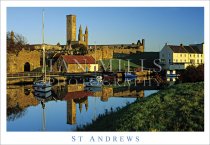 St Andrews, Cathedral Ruins from Harbour waters (H std IM)