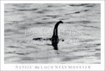 Nessie, the Loch Ness Monster, Sugeons Photo (H std IM)