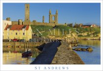 St Andrews, Cathedral from Harbour (H std IM)