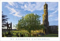 St Andrews Cathedral, Tree to Gable walls (H std IM)