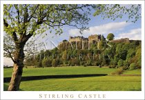 Stirling Castle, Spring, Tree (H std IM)