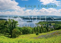 Loch Lomond above Luss (H IM)