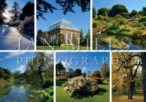 Royal Botanic Garden, Edinburgh, Multi view (H IM)