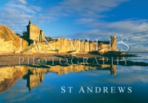 St Andrews Castle, Reflection Close Up (H IM)